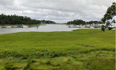 Farm River Preserve State Park Winter Walk