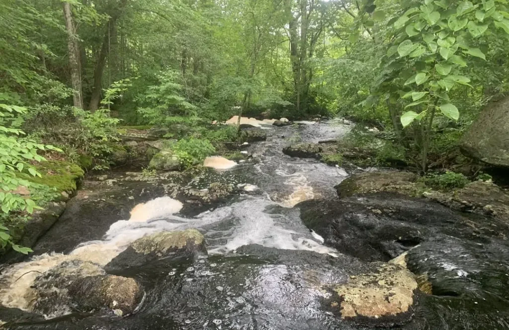 Hoadley Creek Preserve Walk/Hike