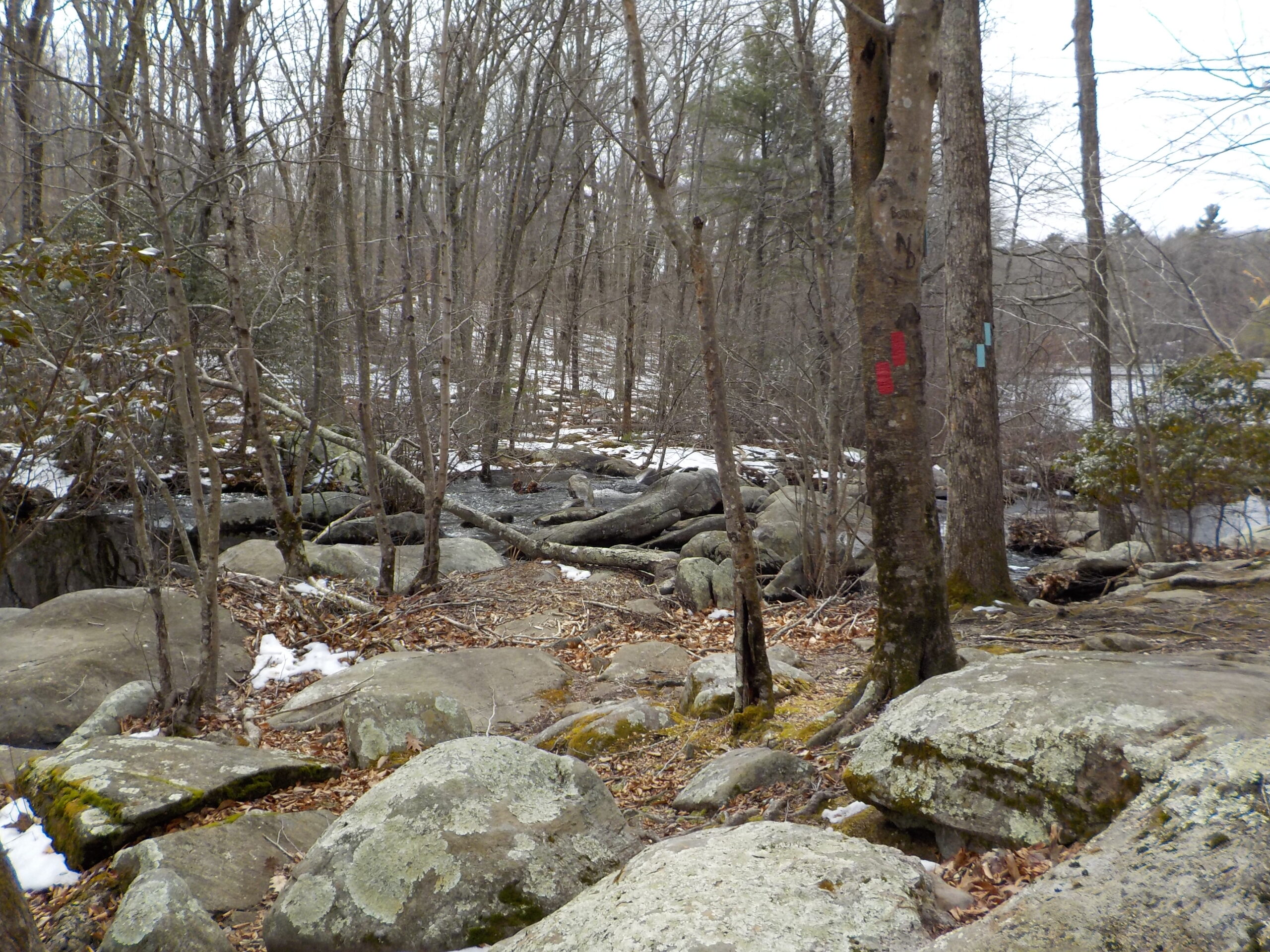 Hike: Timberland Preserve Guilford